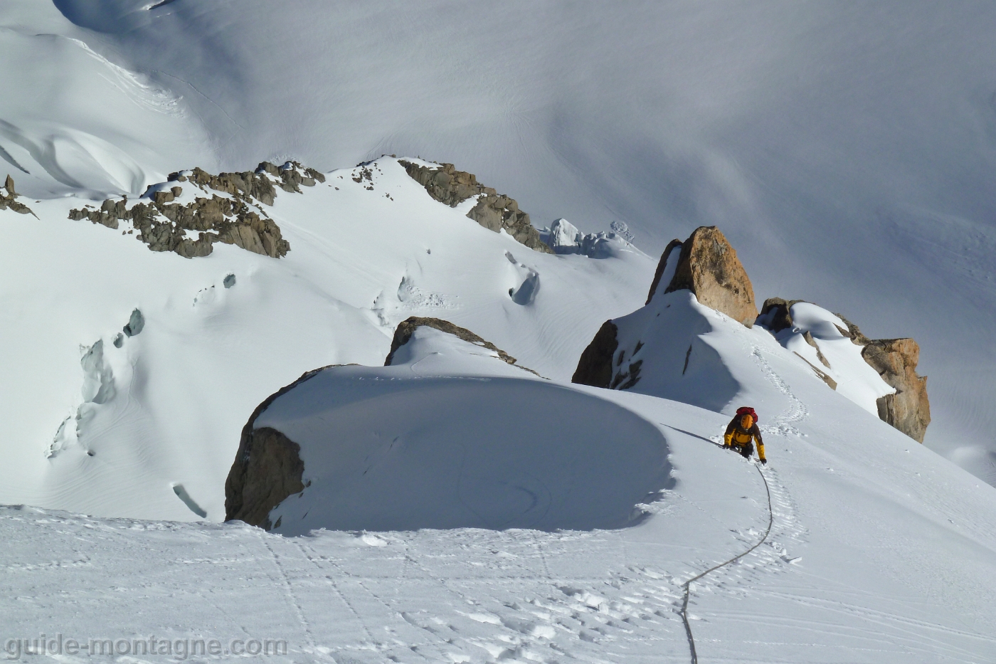 Chardonnet Eperon Migot-11